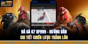 Đá Gà 67 DF999