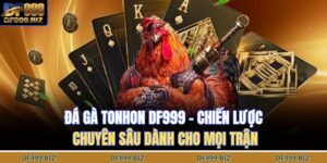 Đá gà tonhon DF999