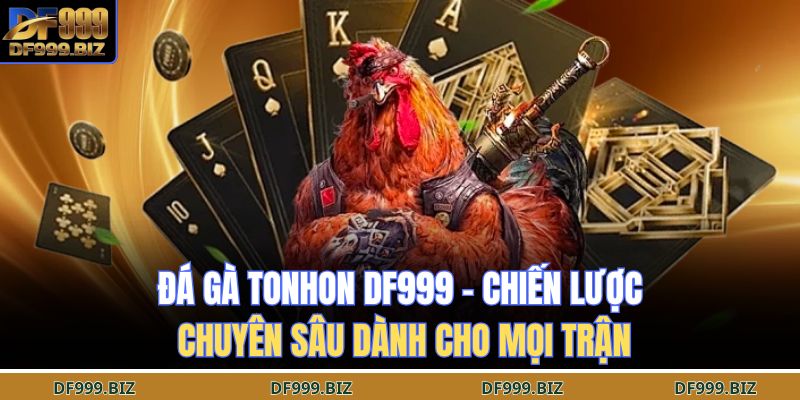 Đá gà tonhon DF999