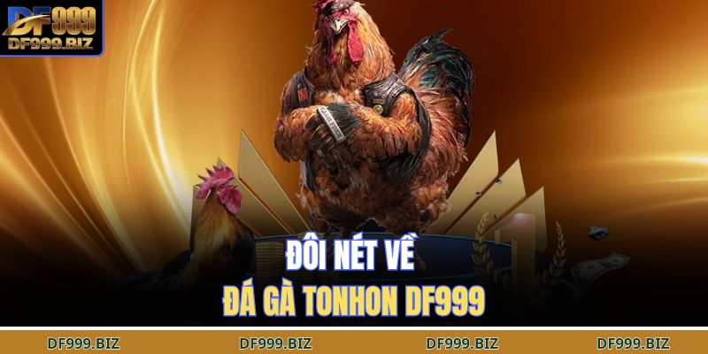 Đôi nét Về Đá Gà Tonhon DF999