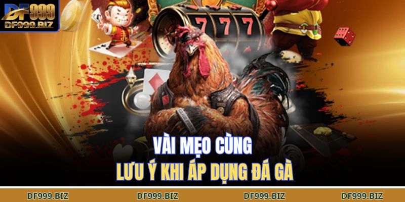Vài Mẹo Cùng Lưu Ý Khi Áp Dụng Đá Gà